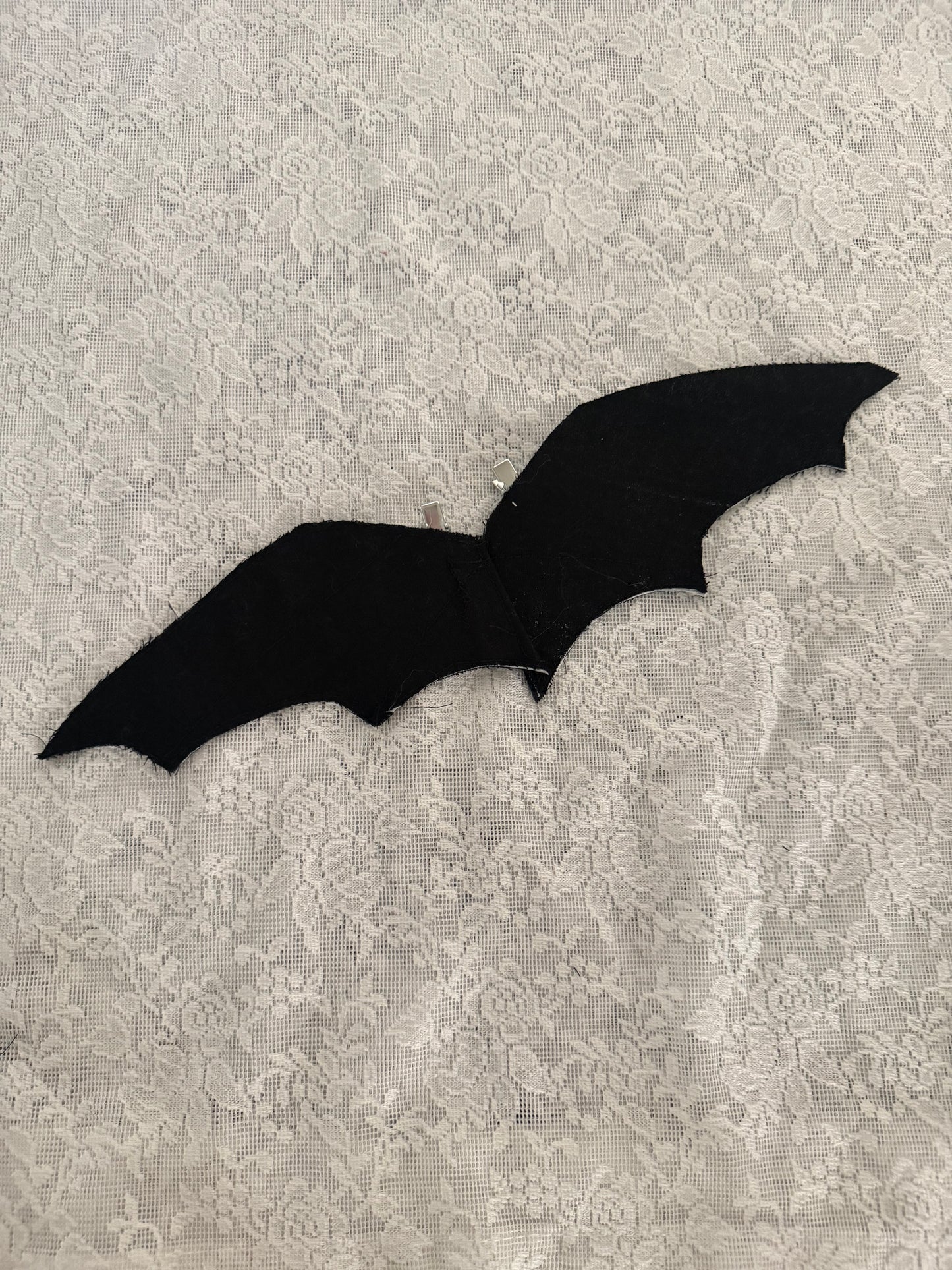 Dracula's Wings